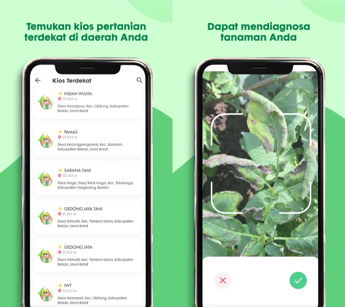 Point the camera to run an AI crop diagnosis, and browse the nearest agri-kiosks